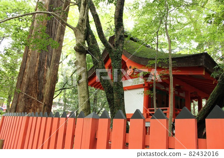 Landscape of Nara 82432016
