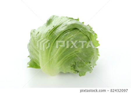 生菜 82432097