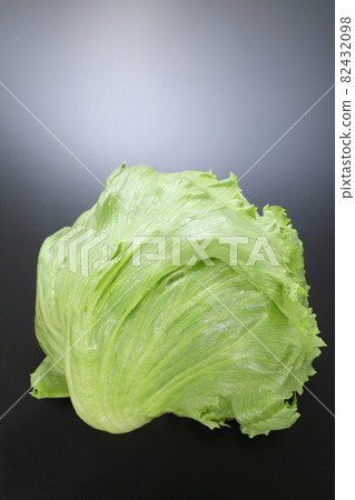 生菜 生菜 82432098