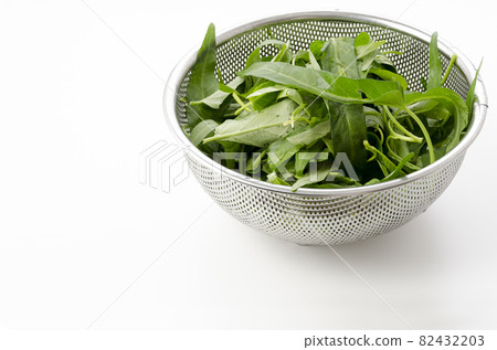 菠菜葉的製備 82432203