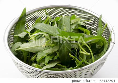 菠菜葉的製備 菠菜葉的製備 82432204