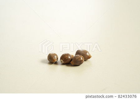 硬化薏仁 硬化薏仁 82433076