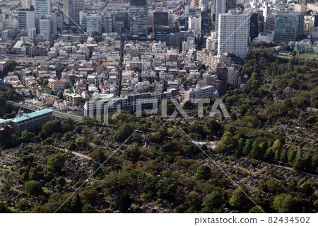 <Tokyo> Aoyama Cemetery 82434502