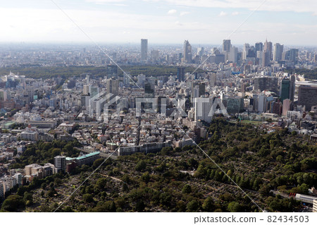 <Tokyo> Aoyama Cemetery <Tokyo> Aoyama Cemetery 82434503