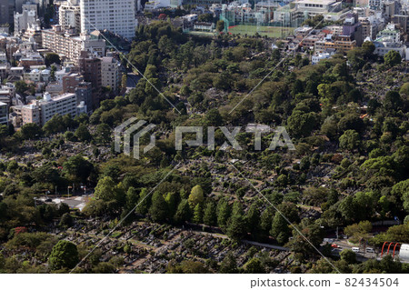 <Tokyo> Aoyama Cemetery <Tokyo> Aoyama Cemetery 82434504