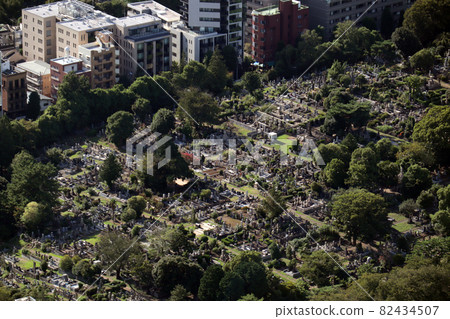 <Tokyo> Aoyama Cemetery <Tokyo> Aoyama Cemetery 82434507