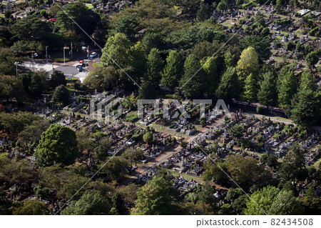 <Tokyo> Aoyama Cemetery <Tokyo> Aoyama Cemetery 82434508