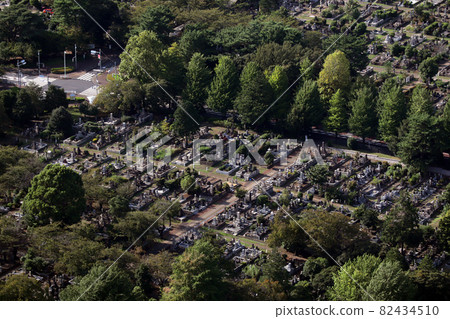 <Tokyo> Aoyama Cemetery 82434510