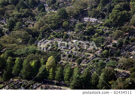 <Tokyo> Aoyama Cemetery 82434511