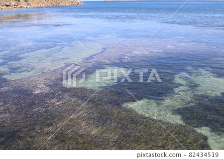 維克多港周圍的風景_8 82434519