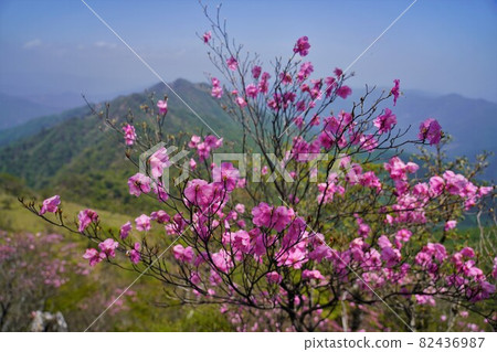 市房山的日影月 82436987