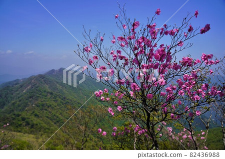 市房山的日影月 82436988