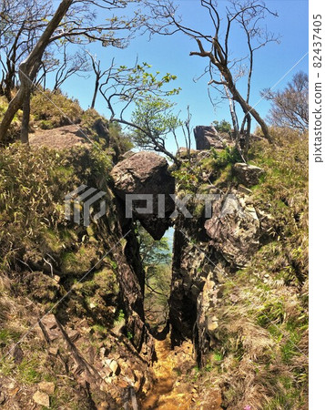 市房山新見橋 82437405