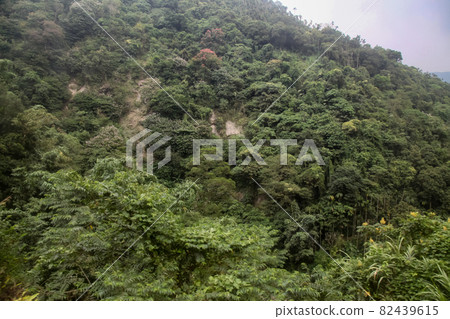 View of forest and mountain in national park in taiwan View of forest and mountain in national park in taiwan 82439615