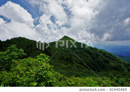 從三神倉山道登頂 從三神倉山道登頂 82440469