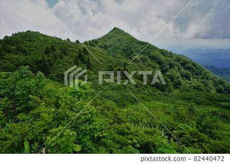 從三神倉山道登頂 從三神倉山道登頂 82440472