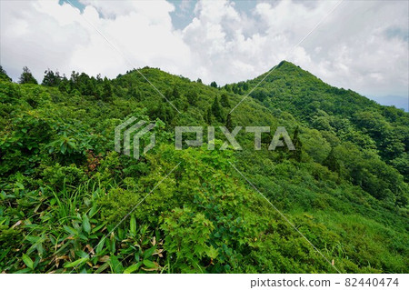從三神倉山道登頂 從三神倉山道登頂 82440474