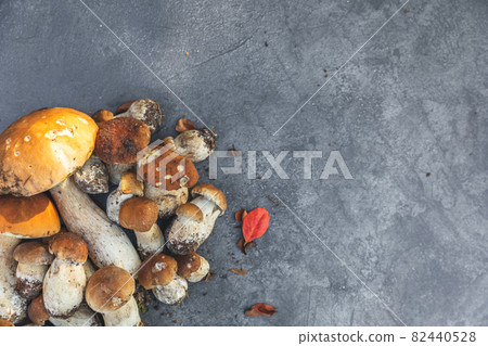 Autumn fall composition. Raw edible mushrooms Penny Bun on dark black stone shale background. Ceps over gray table. Cooking delicious organic mushroom gourmet food. Flat lay, top view copy space 82440528