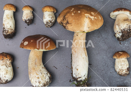 Autumn fall composition. Raw edible mushrooms Penny Bun on dark black stone shale background. Ceps over gray table. Cooking delicious organic mushroom gourmet food. Flat lay, top view 82440531