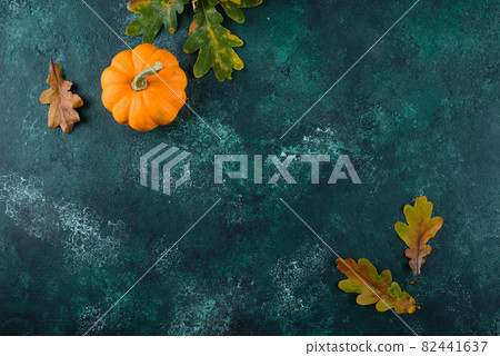 Various decorative pumpkins. Autumn harvest Various decorative pumpkins. Autumn harvest 82441637