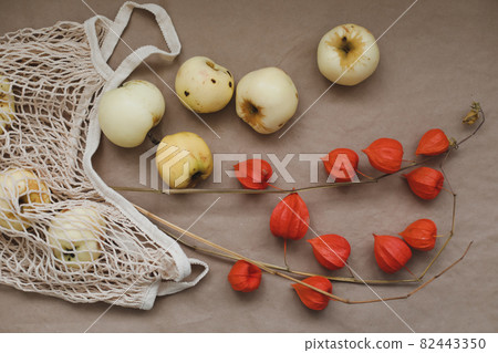 autumn still life with apples and orange flowers of physalis autumn still life with apples and orange flowers of physalis 82443350