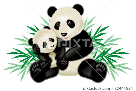 熊貓圖 82444554