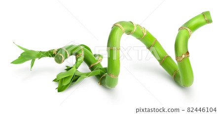 Green bamboo with leaves isolated on white background with clipping path and full depth of field 82446104