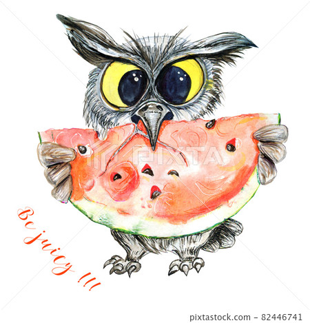 Handmade watercolor illustration of an owl with a large piece of watermelon. Handmade watercolor illustration of an owl with a large piece of watermelon. 82446741