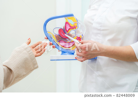 Gynecologist doctor consulting patient using uterus anatomy model Gynecologist doctor consulting patient using uterus anatomy model 82448009