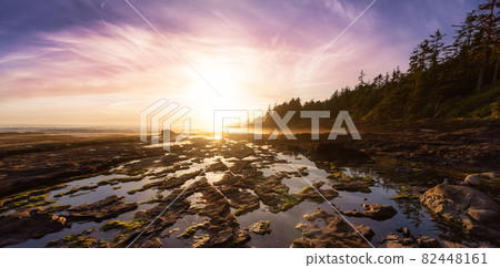 Botanical Beach on the West Coast of Pacific Ocean. 82448161