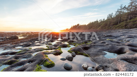 Botanical Beach on the West Coast of Pacific Ocean. 82448172