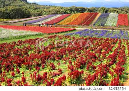 Yakurai Garden 82452264