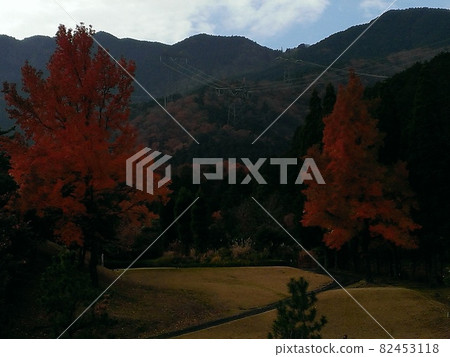 高爾夫球場的秋葉 高爾夫球場的秋葉 82453118