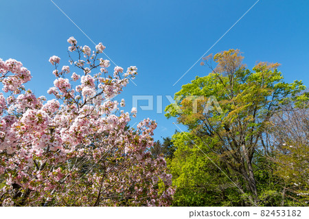 Fresh green landscape 82453182