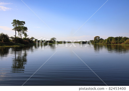 Paraguay River (Pantanal, Brazil) Paraguay River (Pantanal, Brazil) 82453400