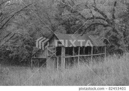 Black and white. Old rundown barn in Echo Bluff State Park of the mountains in Missouri 82453401