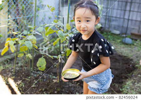 Girl enjoying the vegetable garden 82456024