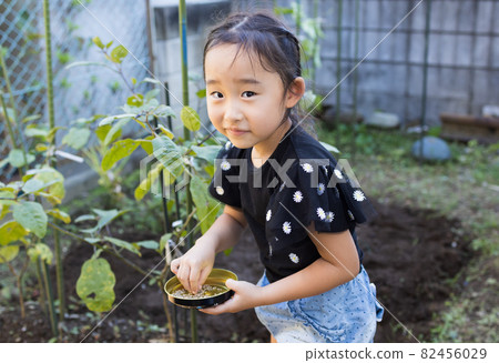 享受菜園的女孩 82456029