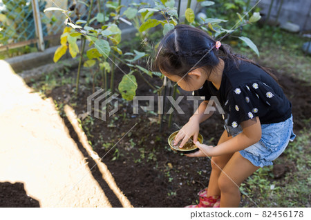 Girl enjoying the vegetable garden 82456178