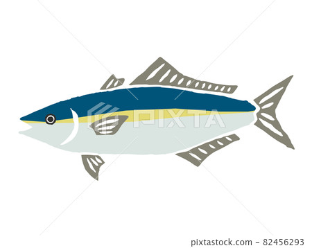 Yellowtail retro vector illustration 82456293