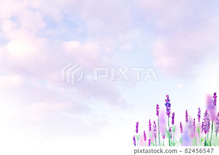Lavender field in full bloom watercolor background material 82456547