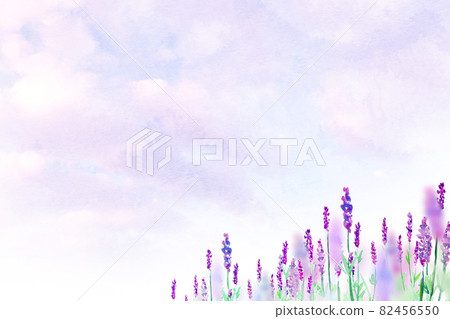 Lavender field in full bloom watercolor background material 82456550