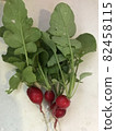 Radish radish 82458115