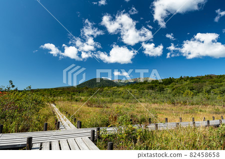 Mt. Kurikoma World Valley Wetland and Boardwalk in Autumn 82458658