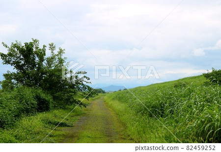 漫步江底秋色夜景 82459252