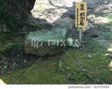 江戶川區東小岩善如寺影石 江戶川區東小岩善如寺影石 82459464
