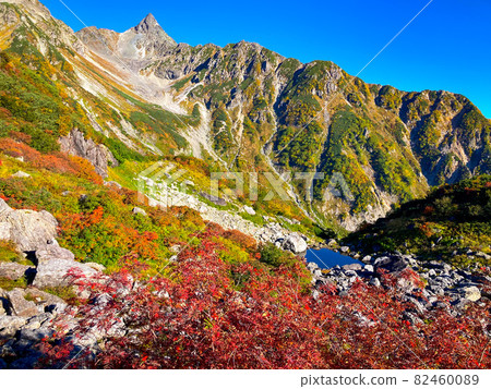 Tengu pond colored leaves Tengu pond colored leaves 82460089