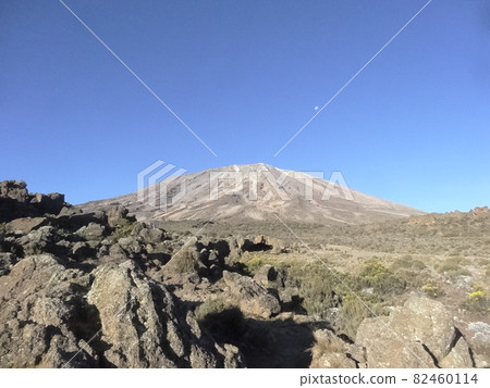 乞力馬扎羅山 / 坦桑尼亞 乞力馬扎羅山 / 坦桑尼亞 82460114