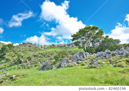 【四國喀斯特】愛媛縣上加名區熊高原町西谷 82460196