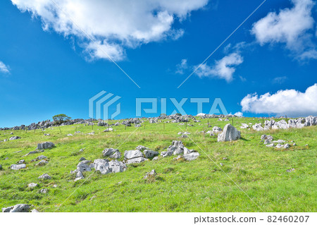 【四國喀斯特】愛媛縣上加名區熊高原町西谷 82460207